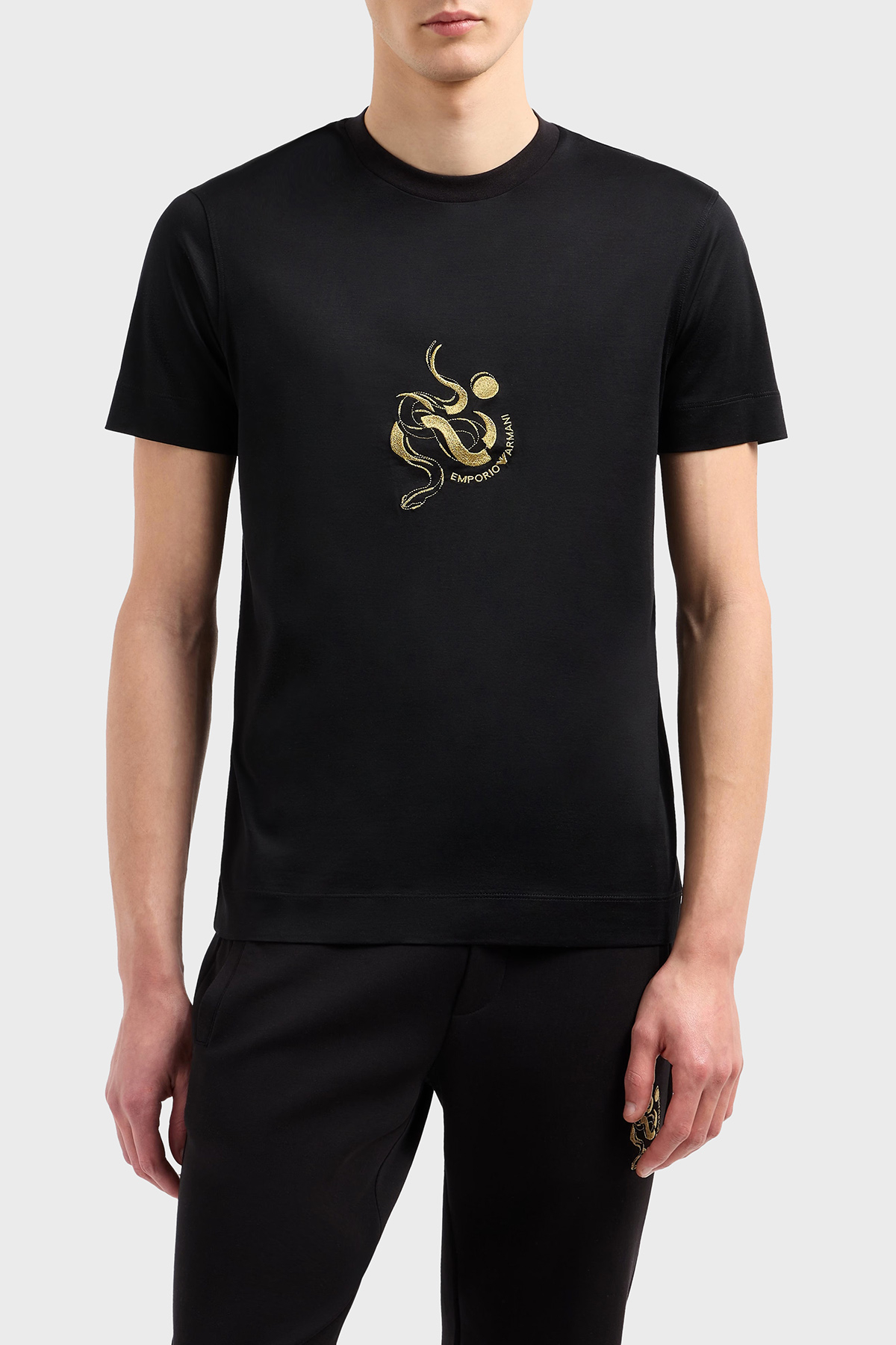 Emporio Armani Pamuk Karışımlı Regular Fit Bisiklet Yaka Erkek T Shirt EM001702 AF10017 UC001 SİYAH